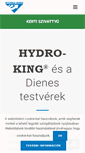 Mobile Screenshot of hydroking.hu